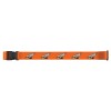 Miami Luggage Strap Orange